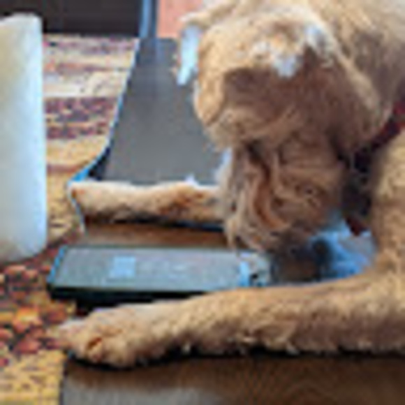 Meet your Posher, John - Picture 1 of 1